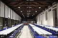 VBS_9850 - Investitura Re Peperone e Bela Povronera Carnevale di Carmagnola 2025